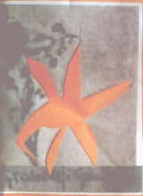 Logo Grosella i Grandalla Paper color